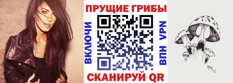 Галлюциногенные грибы Psilocybe  Сясьстрой 